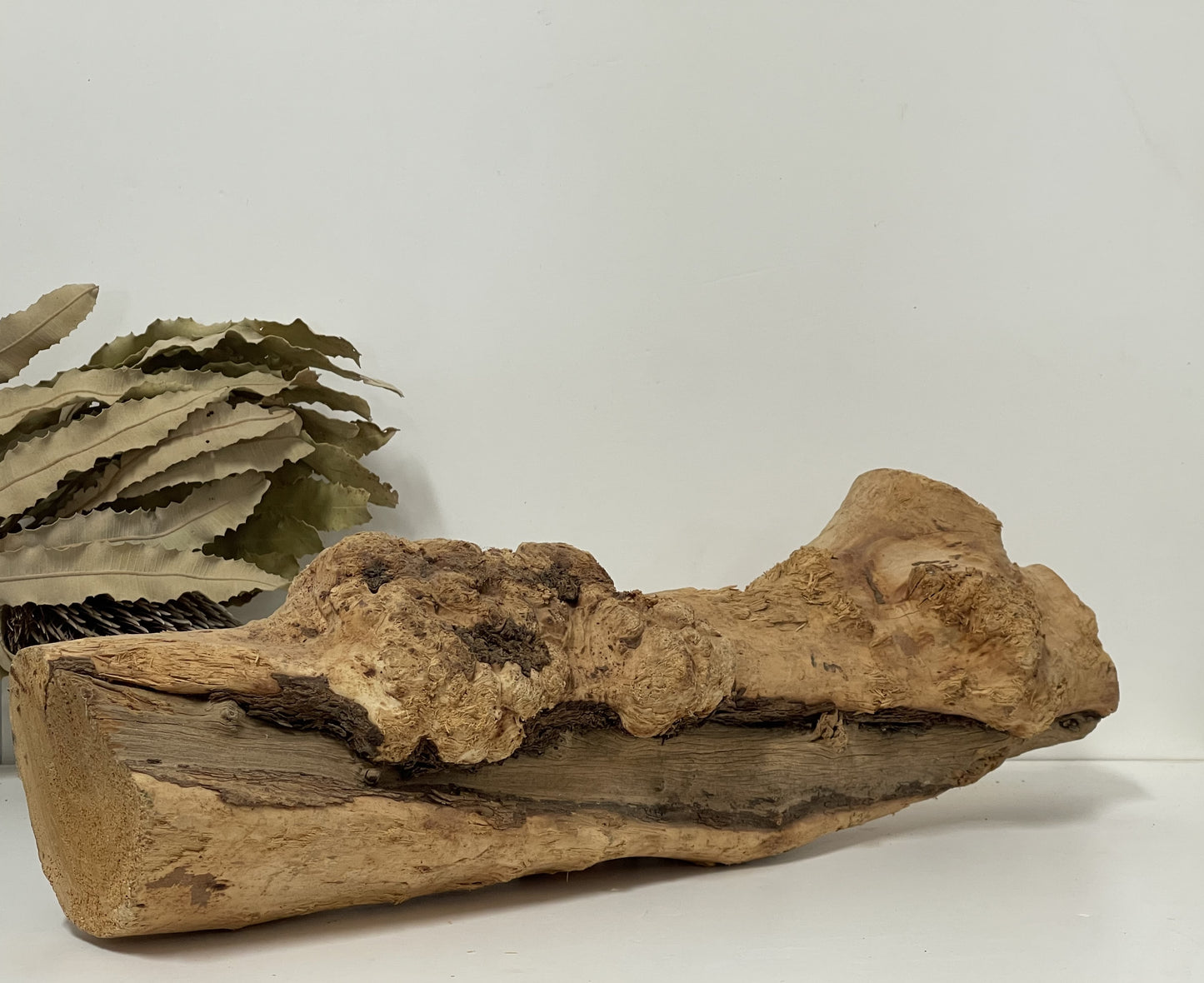 Sandalwood Feature Piece