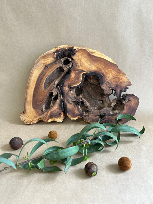 Sandalwood Feature Piece