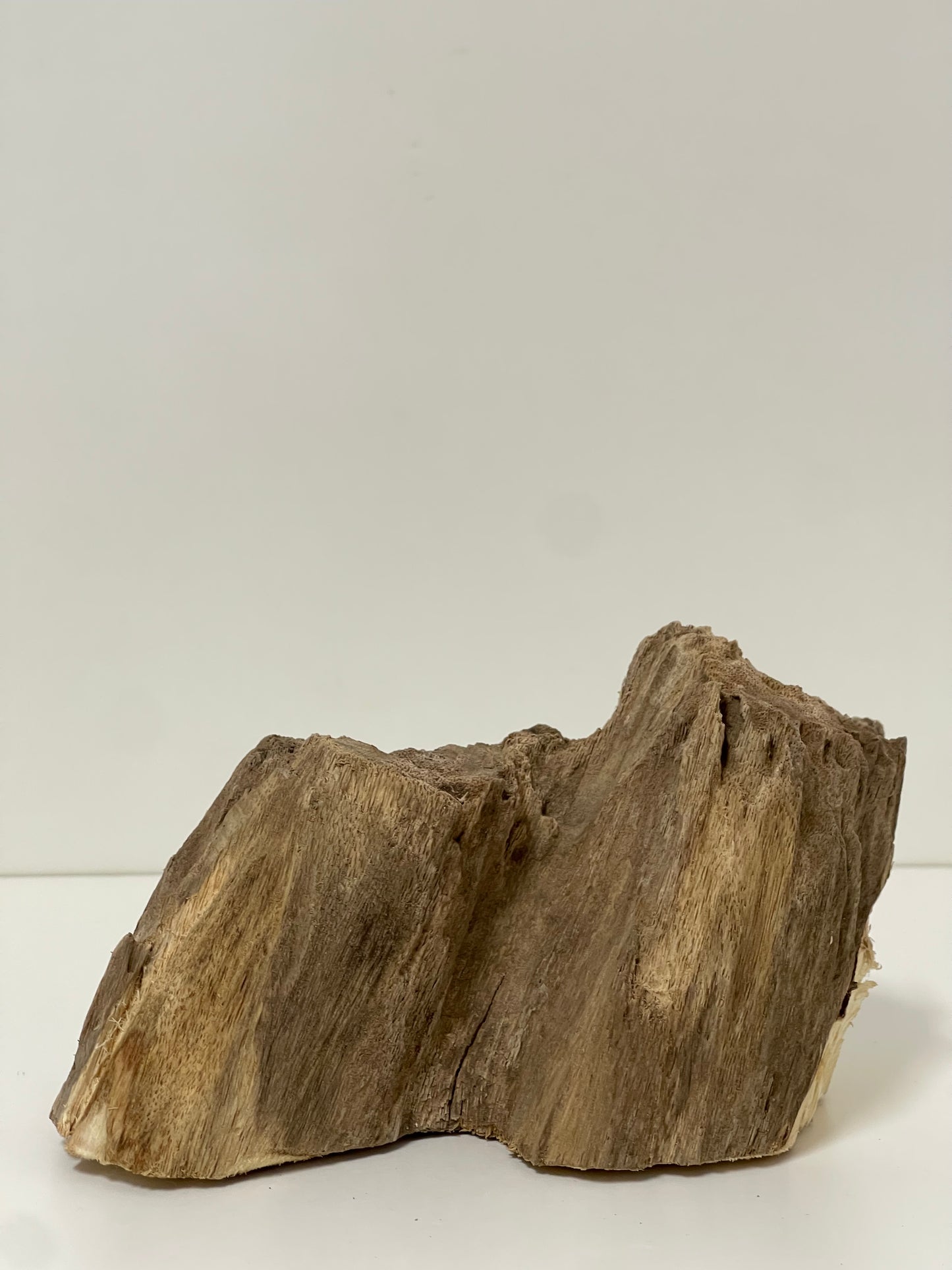 Australian Agarwood Feature Piece