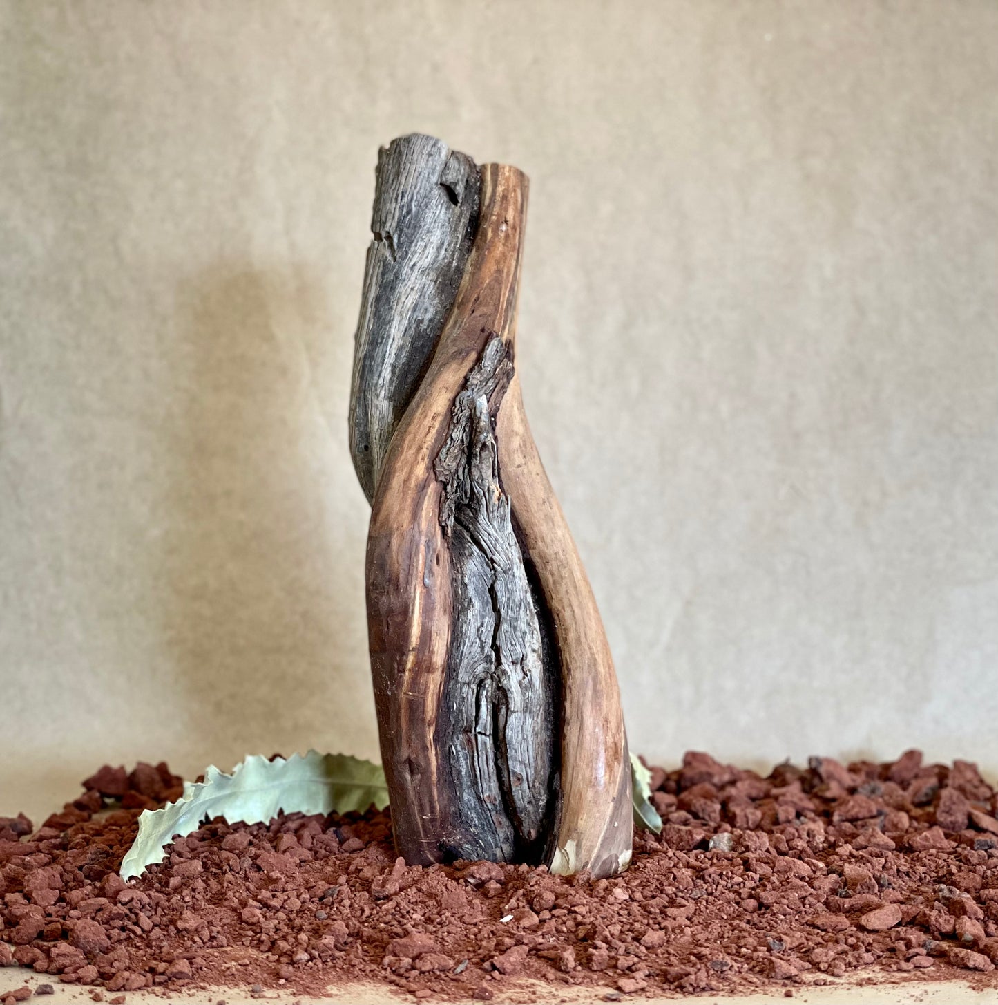 Tjiwarl Wild Sandalwood Coming Soon