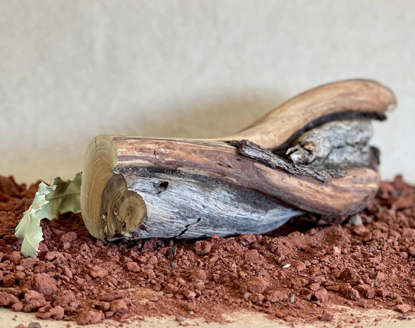 Tjiwarl Wild Sandalwood Coming Soon