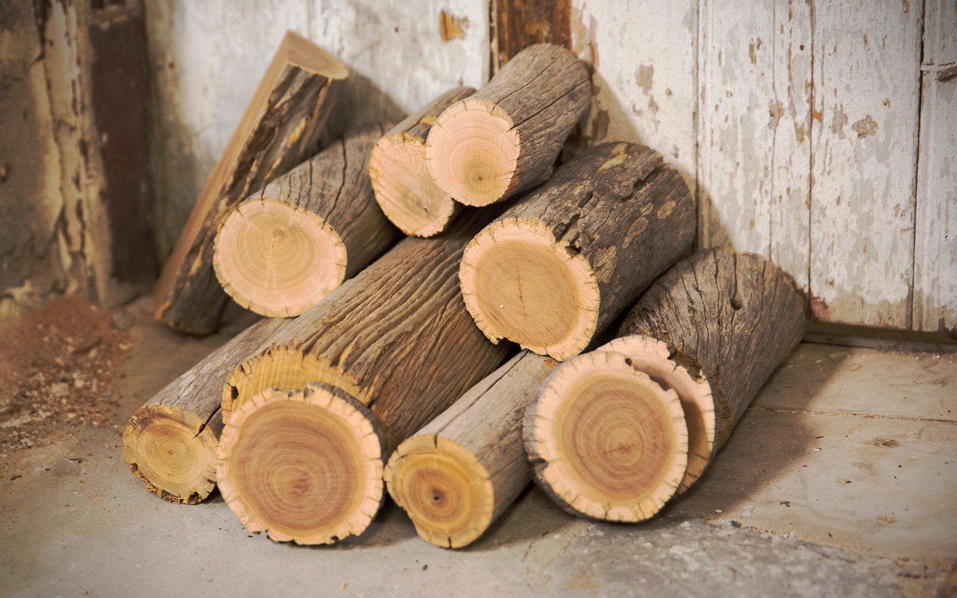 Western Australian Sandalwood Logs - New Mountain