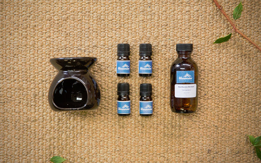 Santalum austrocaledonicum - New Mountain